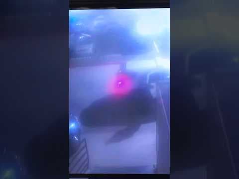 Video: Inmate pepper-sprays deputy, escapes in cop car