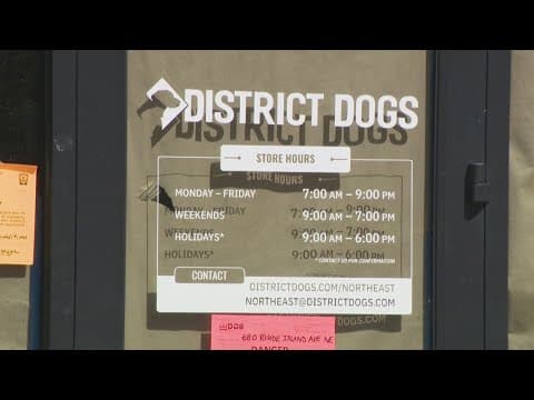 'A pet owner's worst nightmare' | District Dogs to pay $100K settlement for deadly 2023 flood