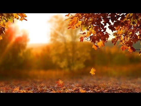 Extreme drought could lead to early fall foliage in central Ohio