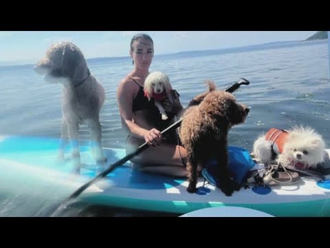 Friends of woman killed in her south Seattle home speak out; ex-Bothell City Council member arrested