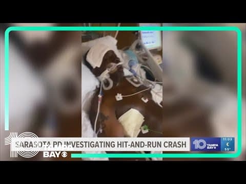 Sarasota police investigating New Year's Day hit-and-run that left man with serious injuries