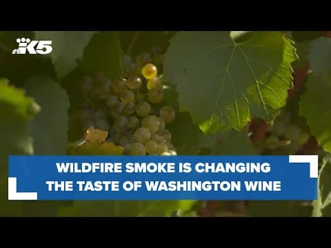Wildfire smoke changing the taste of Washington wine