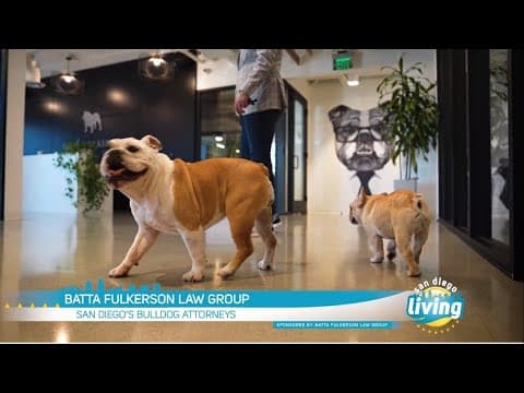 Injured in an Accident? Hire a Bulldog Attorney | Batta Fulkerson Law Group, Voted San Diego’s Favor