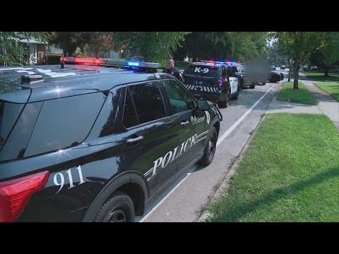 A dozen theft arrests made during Whitehall crime blitz