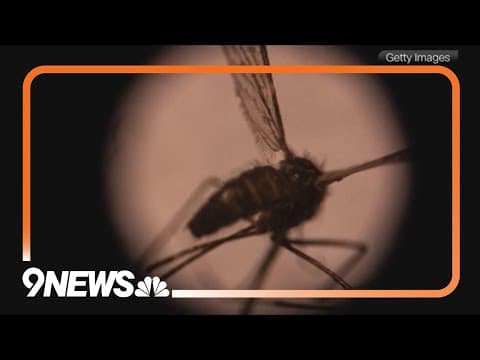 West Nile virus found in Larimer County mosquitos