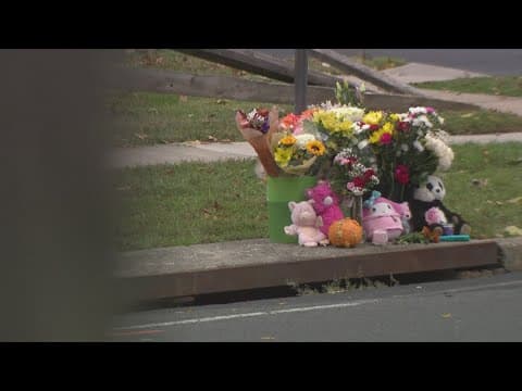 Child struck and killed by school bus driver identified