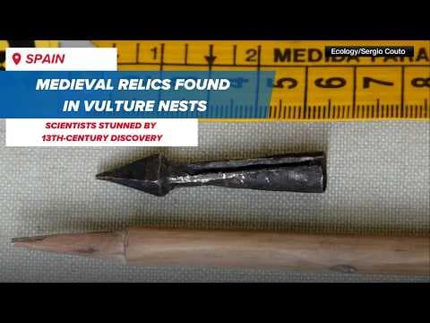 Medieval sandal found in vulture nest in Spain | Ancient discovery