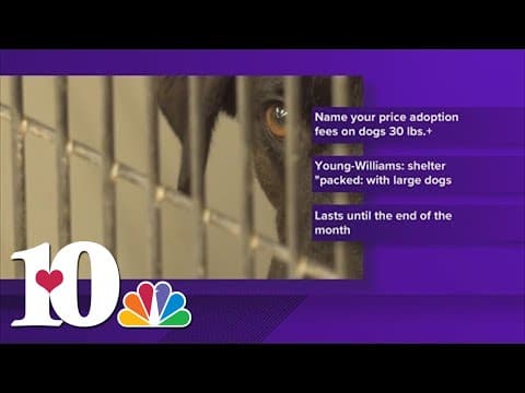 Young-Williams new year adoption event