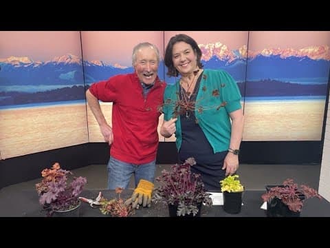 Looking for hummingbirds? This plant will bring them to the yard, along with pops of color - New Day