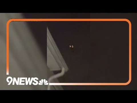 Swarms of drones become national mystery