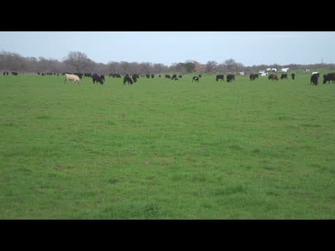 Johnson County issues disaster declaration due to PFAS contamination of agricultural land