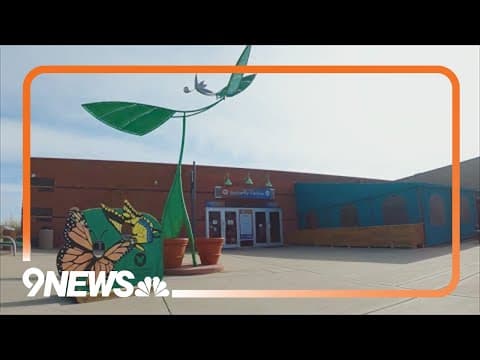 How to make your garden pollinator-friendly