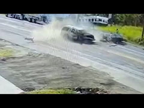 Video: Dog thrown from truck during crash