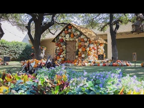 Celebrating Halloween season in North Texas