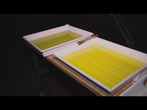 Sip & Develop teaches how to develop film, with a unique twist