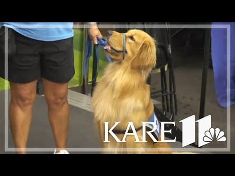 Helping Paws creates 'Hortman Heroes Fund'