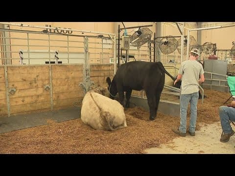 Teaching kids about animals at the Ohio State Fair