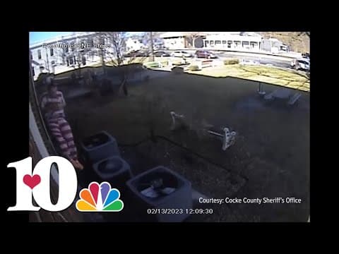 Inmate jumps out second story window to escape Cocke County Courthouse