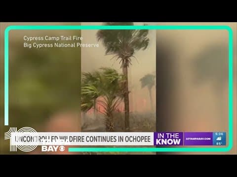 Uncontrolled wildfire in Collier County grows close to 10K acres