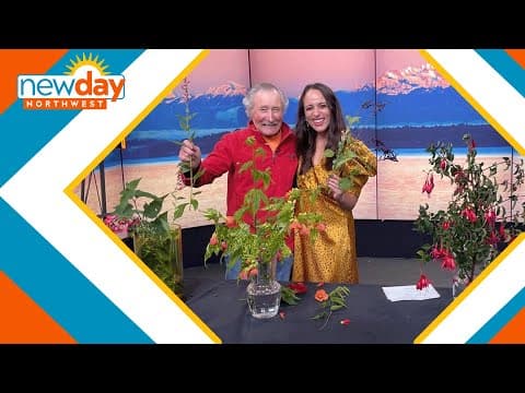 Keep your hummingbirds happy through the winter with these plants - New Day NW