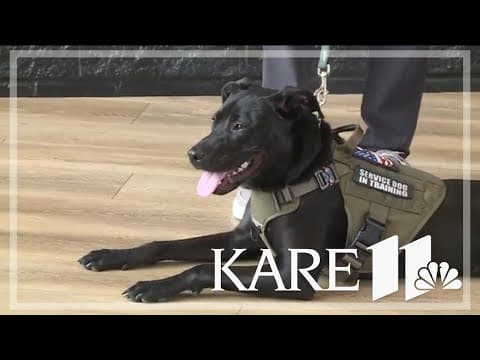 'Rookie' says goodbye to the Minnesota Wild, begins service