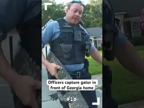 Officers capture gator in front of Georgia home