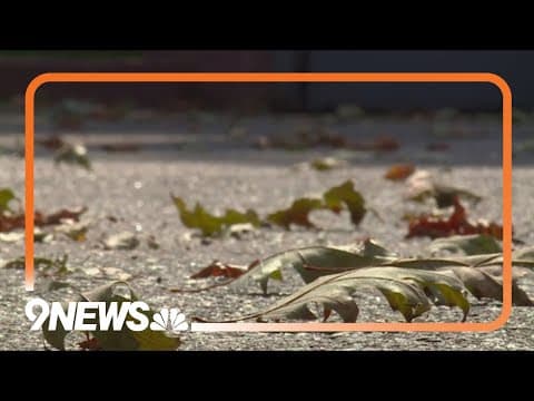 Leaves falling early this year in Denver area