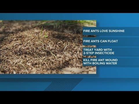 There's one thing you need to watch out for on your Easter egg hunt this weekend