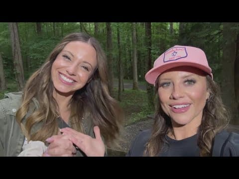 The Magic of the Synchronous Fireflies