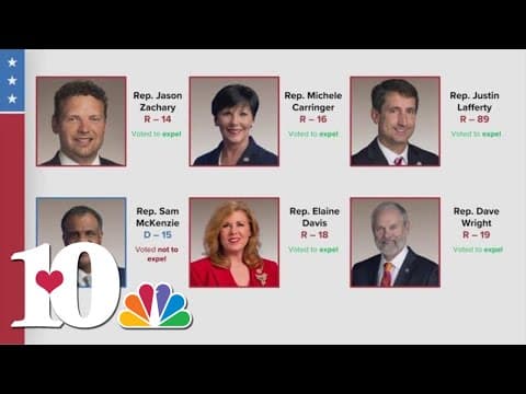 Here's how East TN lawmakers voted in the House expulsion hearings