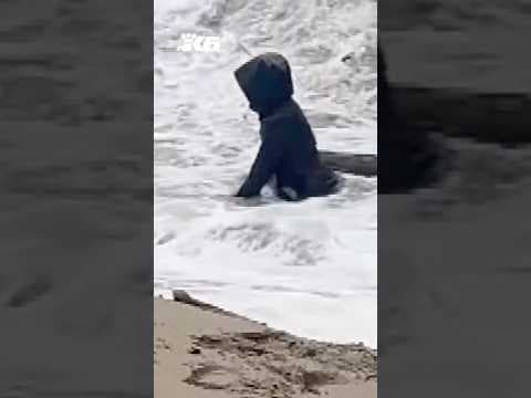 Video shows woman nearly pulled out by king tide at Cannon Beach