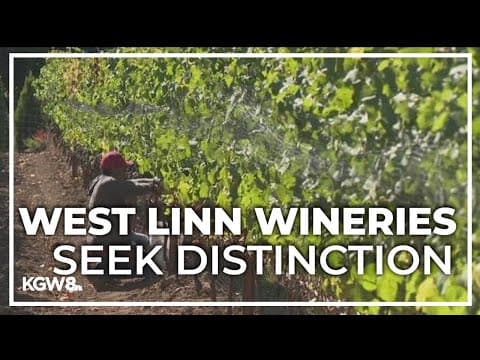 Dry weather yields successful harvest in Willamette Valley