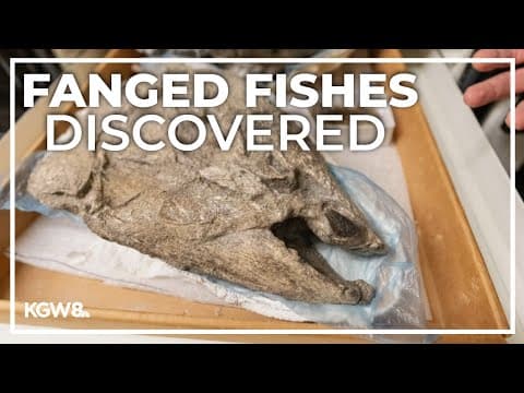 Prehistoric giant salmon in Oregon found to have outwards spiked teeth