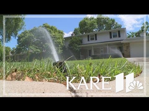 How to prepare your lawn and plants for the extreme heat next week