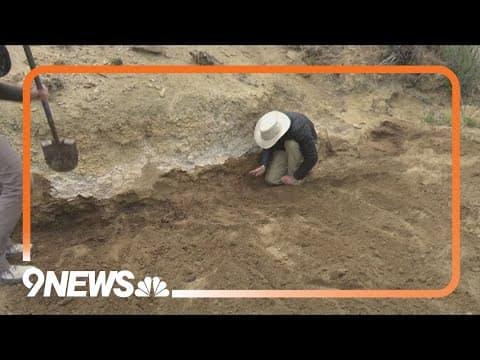 New mammal found in Colorado dates back to the period just after dinosaur extinction