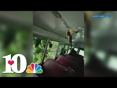 No one hurt after tree falls on Jefferson County school bus with students on board