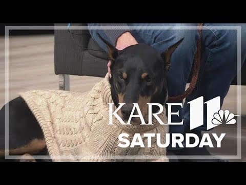 Dog training tips for the winter months