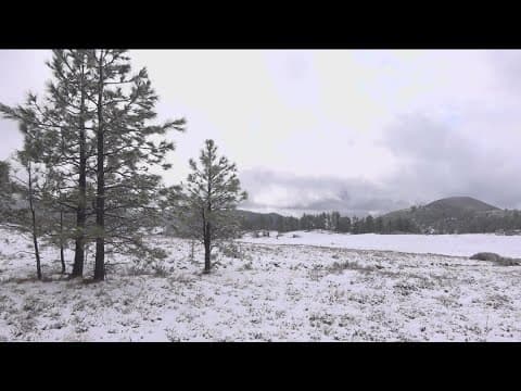 A winter wonderland in Mount Laguna