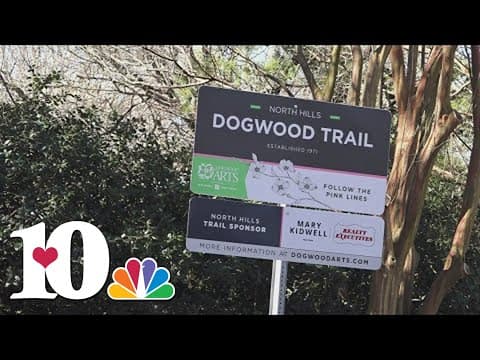 Dogwood trials continue blooming this spring