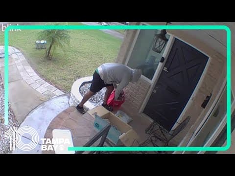 VIDEO: Porch pirate strikes in St. Petersburg, steals iPad