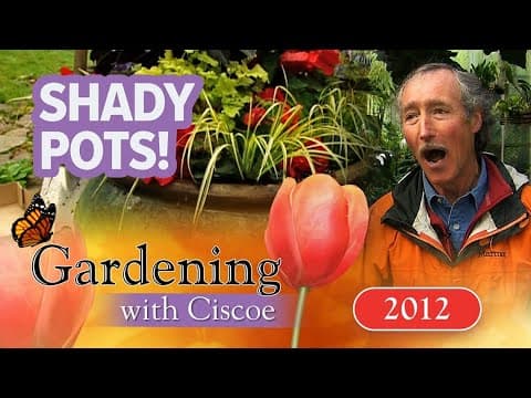 SHADY POTS! Build a Container for the Shade! | Gardening With Ciscoe | Full Episode