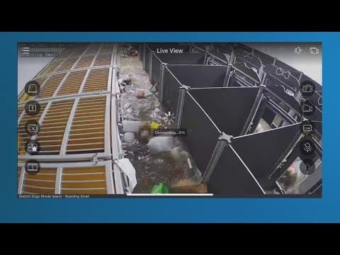 Remembering the District Dogs deadly flood 1 year later