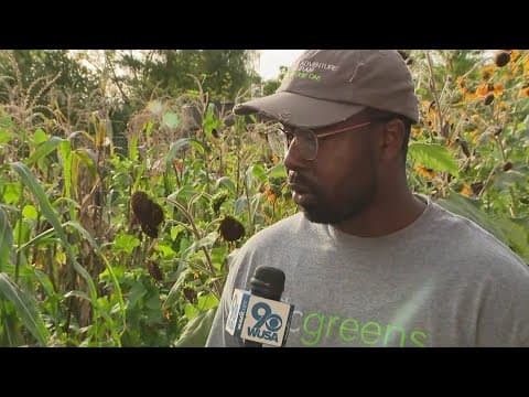 Healthy living in DC | ECO9