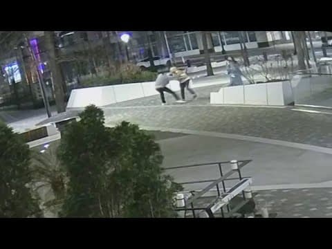 Video of deadly fight with former police officer in DC released after months