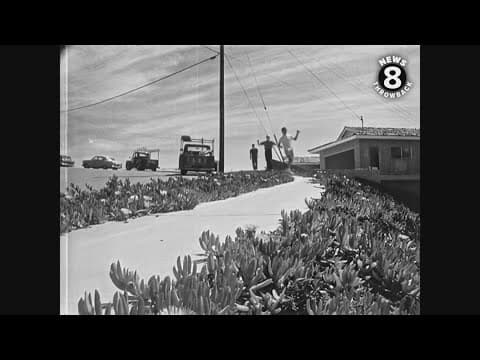 Sidewalk Surfers in La Jolla 1965