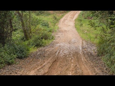 Baileys Crossroads; a circus, an inn, and a patriotic anthem