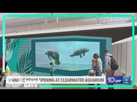 Clearwater Marine Aquarium opening new manatee rehabilitation center