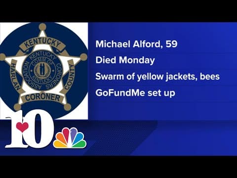 Harlan County man moving bag of potting soil dies after being stung by swarm of yellow jackets, bees