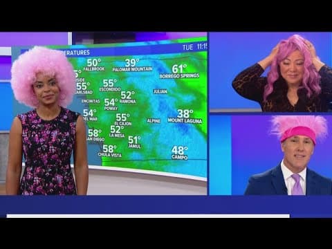 Big Wig | Susan G. Komen San Diego celebrates breast cancer research supporters