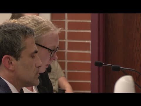 Driver of SUV that struck buggy and killed 2 children sentenced to 4 years